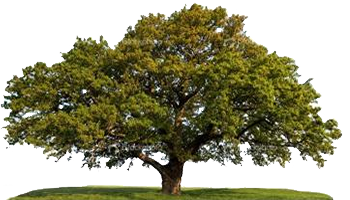 Kitchen Fitter Durham Logo